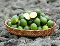 반짝 출하 여름 풋귤, 더 건강하게 즐기기