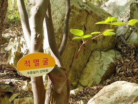 천성산(千聖山) 적멸굴(寂滅窟)