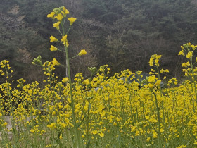 일상 속에서 진리를 깨닫는 아주 평범한 사람들