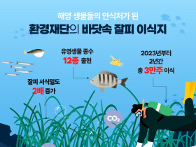 환경재단 ‘잘피숲’ 조성으로 해양 생태계 복원 효과 입증
