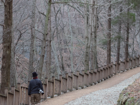 동학만리(東學萬里) 연재를 시작하며