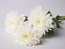 [부고] 전태흘 전 화악산수도원장 환원