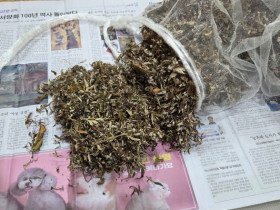 죽음 탐색, 죽음으로 만나는 삶