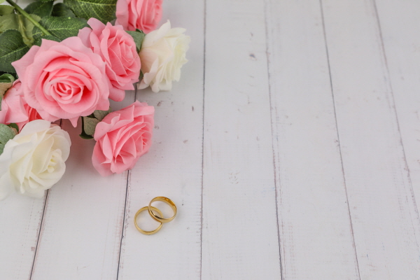 [은정]rose flower on_1466112.jpg