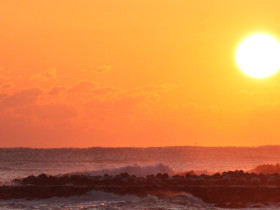 대망(待望)의 병오년(丙午年)을 맞이하며