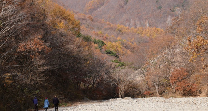 포항 흥해 검곡