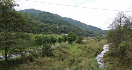 단양 송두둑 ·사동 일원, ‘청수 한 그릇’ 제례법 주창하고 용시용활 설법