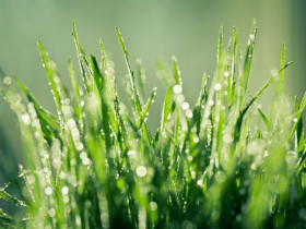 병오년 전정사금(前程似錦)의 해가 되시길