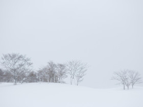 기다리며 살아보기