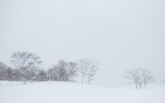기다리며 살아보기