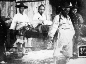 동학농민혁명 2차 봉기, 독립운동으로 인정해야