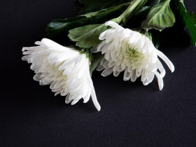 천도교서울교구 故 성월당 천보경 선도사 환원