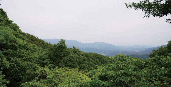 화면 캡처 2026-03-22 110744.jpg